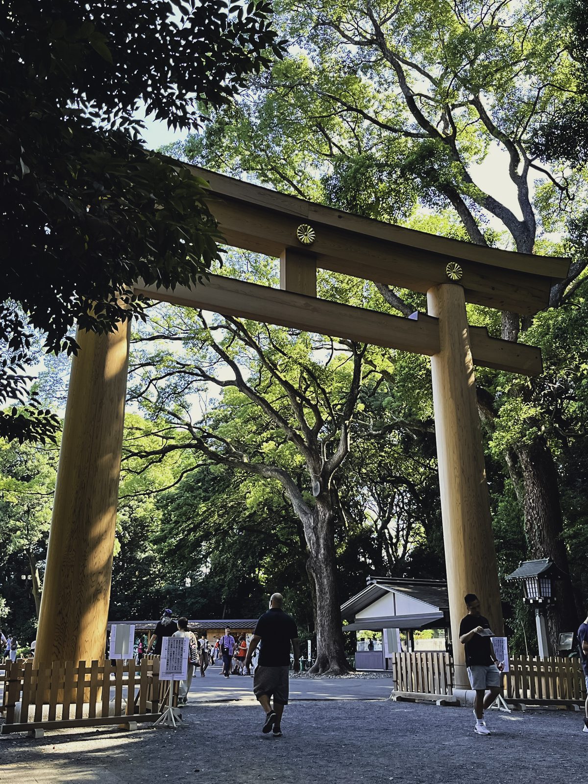 Tokyo - Meiji Jingu